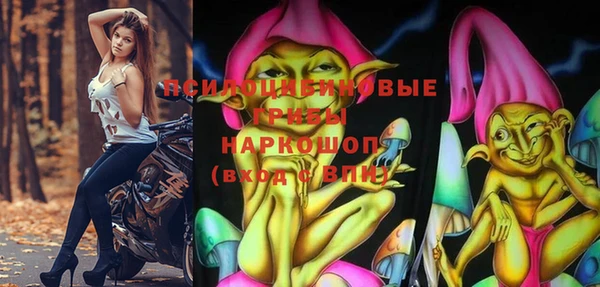 a pvp Осинники