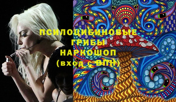 a pvp Осинники