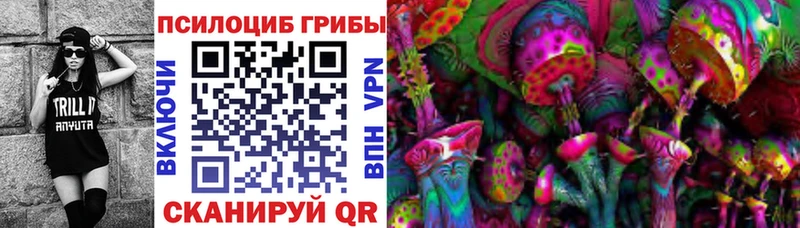 как найти закладки Спас-Деменск Псилоцибиновые грибы GOLDEN TEACHER