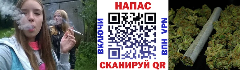 Бошки Шишки VHQ Спас-Деменск